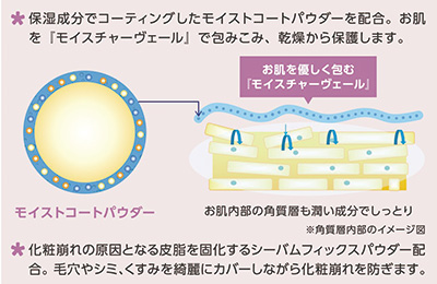 エルセラーンエクセレントパウダー