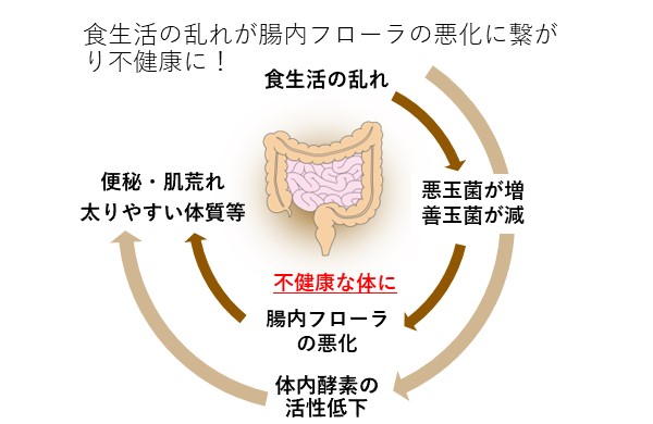 新商品「ルルド ハーブ酵素S」 | エルセラーン化粧品